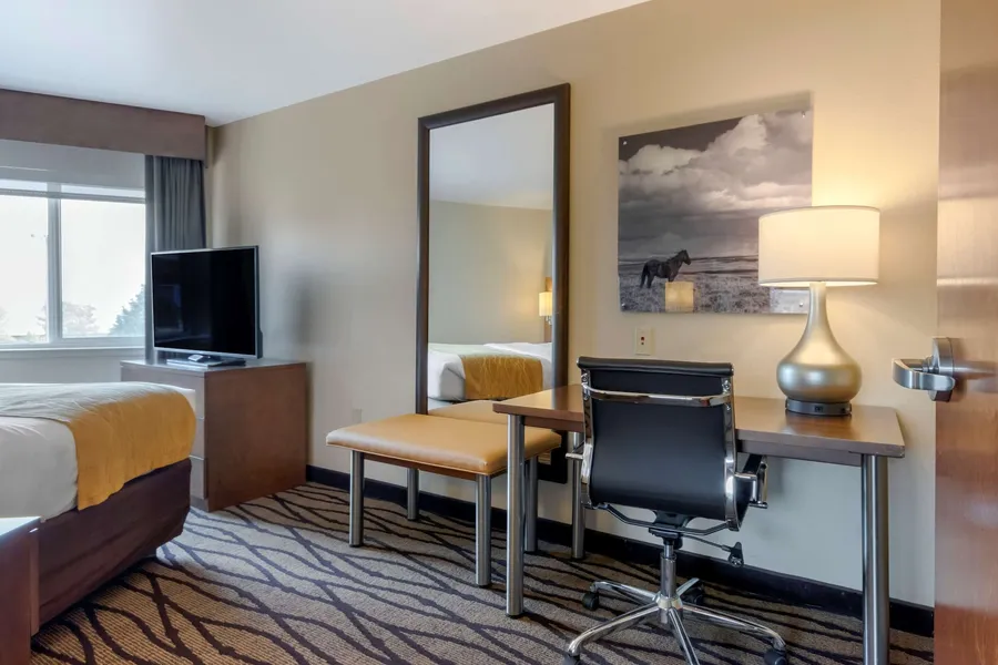 Comfort Inn & Suites Market - Airport hotel detail image 6