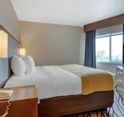 Comfort Inn & Suites Market - Airport hotel detail image 7