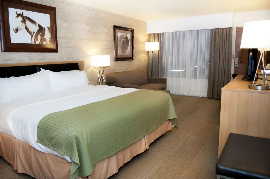 Holiday Inn Spearfish - Convention Center by IHG hotel detail image 6