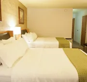 Holiday Inn Spearfish - Convention Center by IHG hotel detail image 7