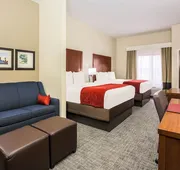 Comfort Suites DFW North/Grapevine hotel detail image 3