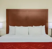 Comfort Suites DFW North/Grapevine hotel detail image 4