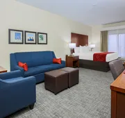 Comfort Suites DFW North/Grapevine hotel detail image 5