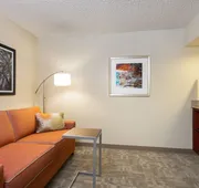 Hampton Inn Houston-Near The Galleria hotel detail image 3