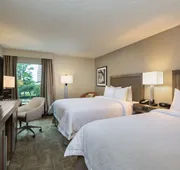 Hampton Inn Houston-Near The Galleria hotel detail image 7