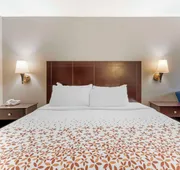 Best Western Royal Inn hotel detail image 4