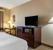 Comfort Inn & Suites Seattle North hotel detail image 4