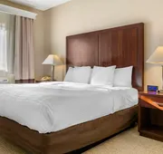 Comfort Inn & Suites Seattle North hotel detail image 7