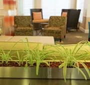 Hilton Garden Inn St. Augustine Beach hotel detail image 5