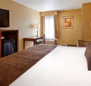 Best Western Plus Richmond Airport Hotel hotel detail image 7