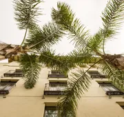 Kimpton Canary Hotel by IHG hotel detail image 4