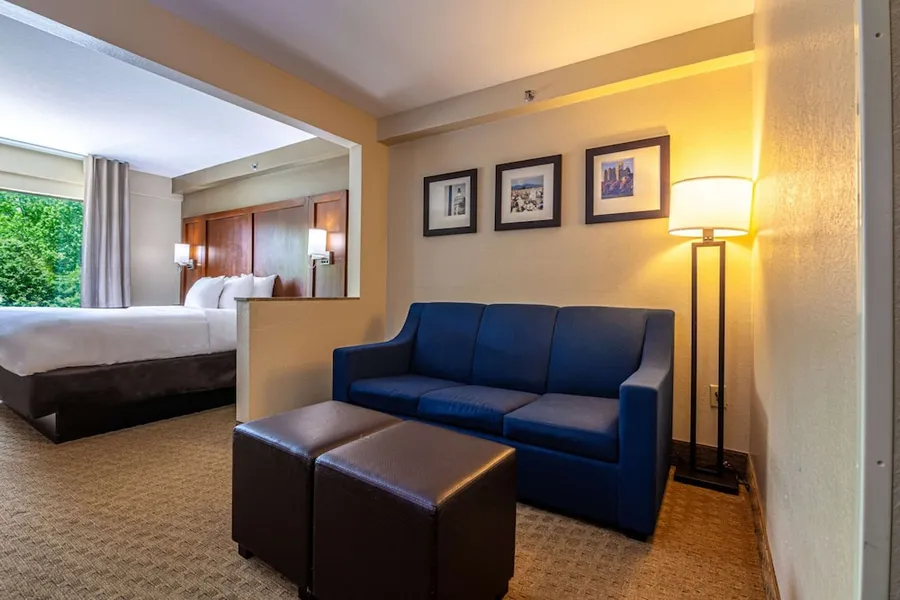 Comfort Suites Morrow - Atlanta South hotel detail image 6