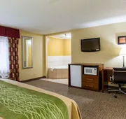 Comfort Inn Columbia West hotel detail image 7