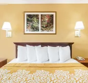 Howard Johnson by Wyndham Orlando-International Drive hotel detail image 5