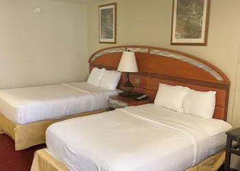 Howard Johnson by Wyndham Orlando-International Drive hotel thumbnail 6