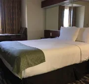 Microtel Inn & Suites by Wyndham Indianapolis Airport hotel detail image 3