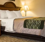 Comfort Inn & Suites Diamondale – Lansing hotel detail image 7