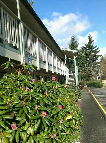 Motel Puyallup hotel detail image 6