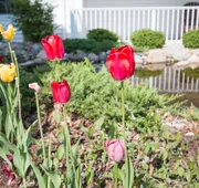 Blue Gate Garden Inn hotel detail image 4