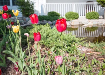 Blue Gate Garden Inn hotel thumbnail 4