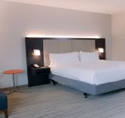 Holiday Inn Express & Suites Tampa East - Ybor City by IHG hotel detail image 7