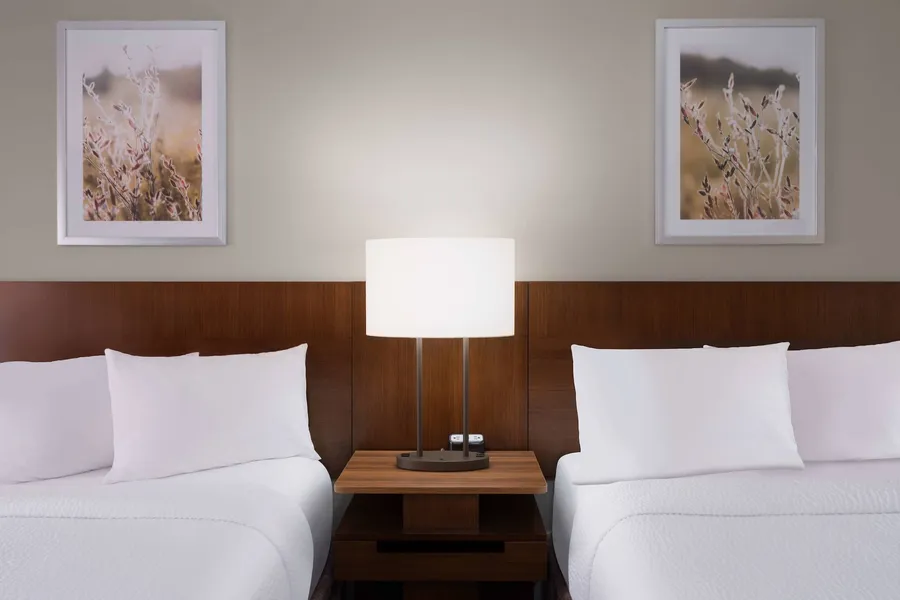 Fairfield Inn and Suites by Marriott Austin South hotel detail image 6