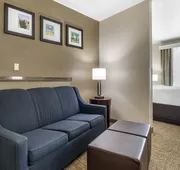 Comfort Suites Waco North - Near University Area hotel detail image 7