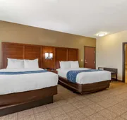 Comfort Suites Buda - Austin South hotel detail image 7