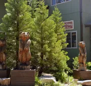 Montecito Sequoia Lodge hotel detail image 5