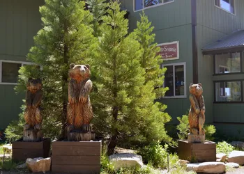 Montecito Sequoia Lodge hotel thumbnail 5