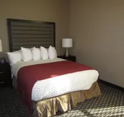 Embassy Suites by Hilton St. Louis Downtown hotel detail image 7