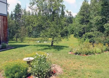 Carlson's Lodge hotel thumbnail 6