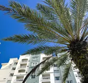 The Point Hotel & Suites Universal hotel detail image 4