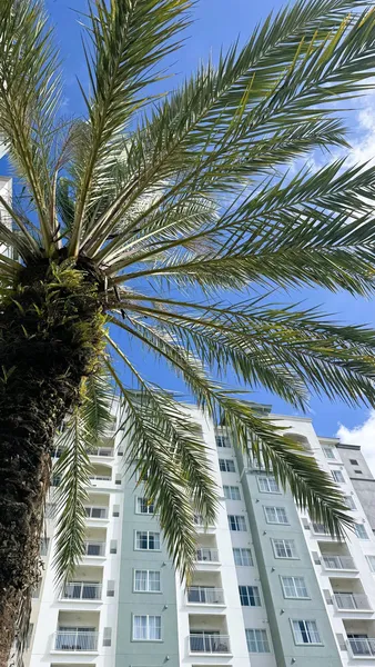 The Point Hotel & Suites Universal hotel detail image 6