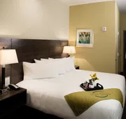 Malana Hotels & Suites hotel detail image 7