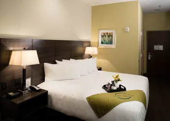 Malana Hotels & Suites hotel thumbnail 7