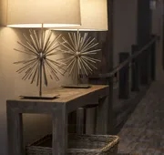 Crowne Plaza Resort Asheville by IHG hotel detail image 7