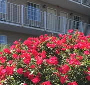 Gazebo Inn hotel detail image 3