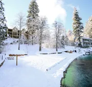 Lake Arrowhead Resort and Spa hotel detail image 3