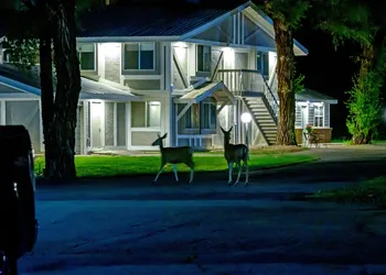 The Gunnison Inn at Dos Rios Golf Course hotel thumbnail 5