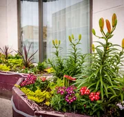 Peterborough Inn & Suites Hotel hotel detail image 3