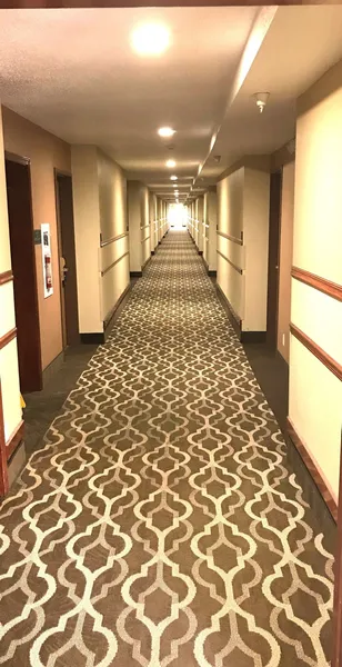 Comfort Inn & Suites at I-74 and 155 hotel detail image 6