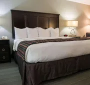 Country Inn & Suites by Radisson, Effingham, IL hotel detail image 7
