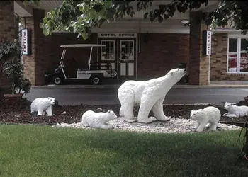 Ivy Rose Motor Inn hotel thumbnail 3