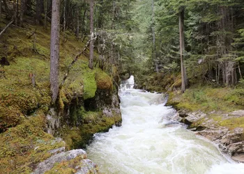 Mulvehill Creek Wilderness Inn hotel thumbnail 6