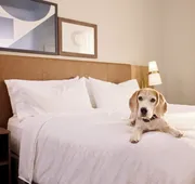Staybridge Suites Tucson Airport by IHG hotel detail image 7