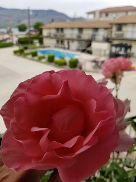 Osoyoos Lakeview Inn & Suites hotel detail image 6