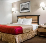 Econo Lodge Inn & Suites Colonie Center Mall hotel detail image 7