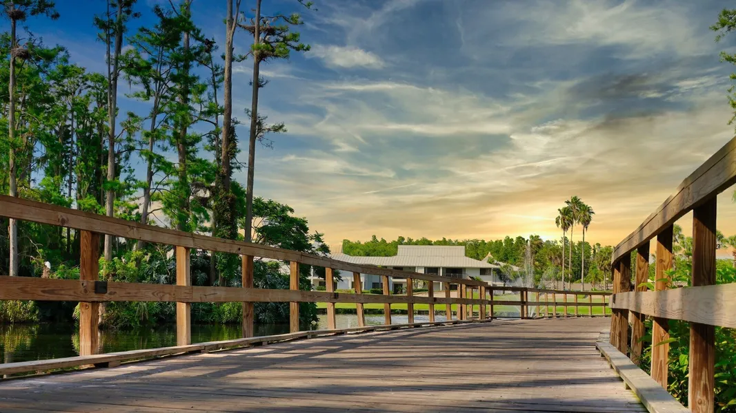 Saddlebrook Resort hotel detail image 6