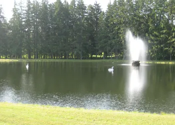 Fountain View Motel hotel thumbnail 7